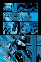 Catwoman issue #28, page 14