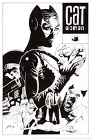 Catwoman #41, redo, commission piece for collectors